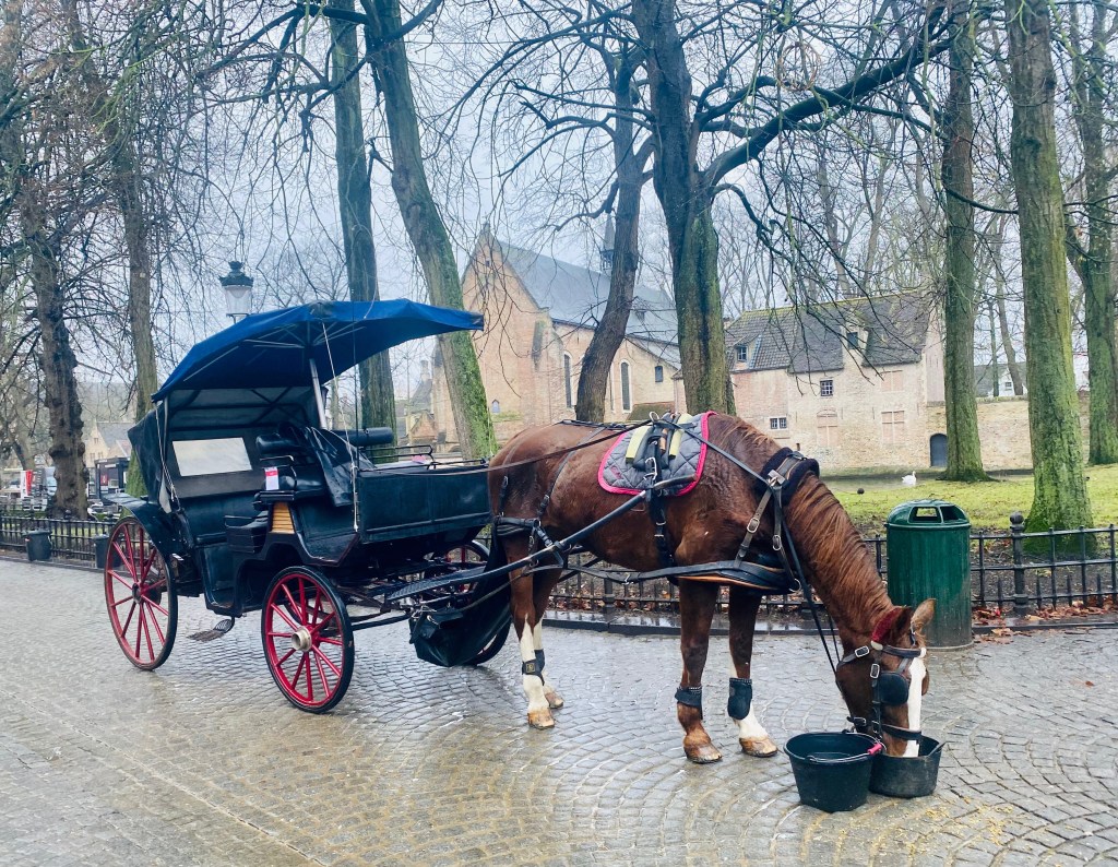 Teen Adventures in Bruges: A Fairytale&nbsp;City